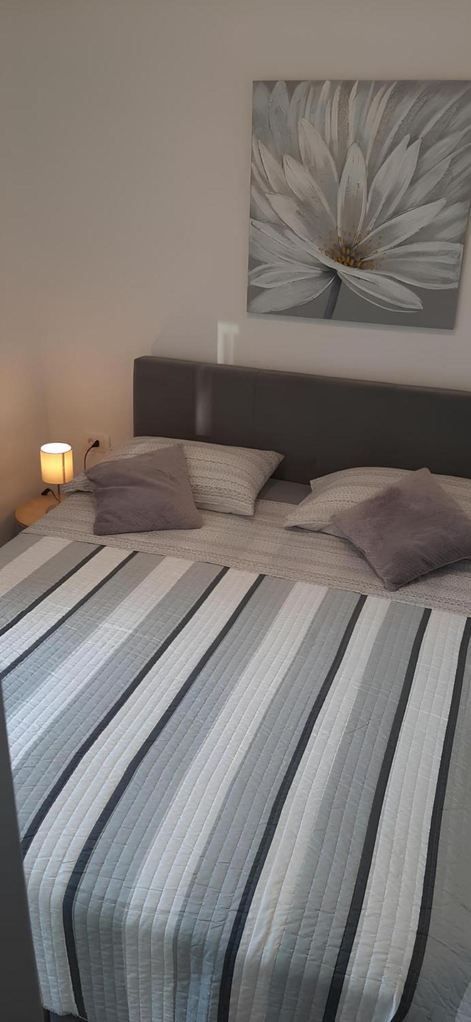 Apartment Puntamika Villa De Rosa - Ground Floor Zadar Bagian luar foto